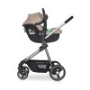 Colibro PETIT camel 14