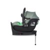 Colibro PETIT pine 1