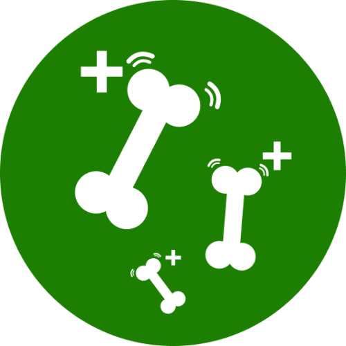 Regenerace chrupavky