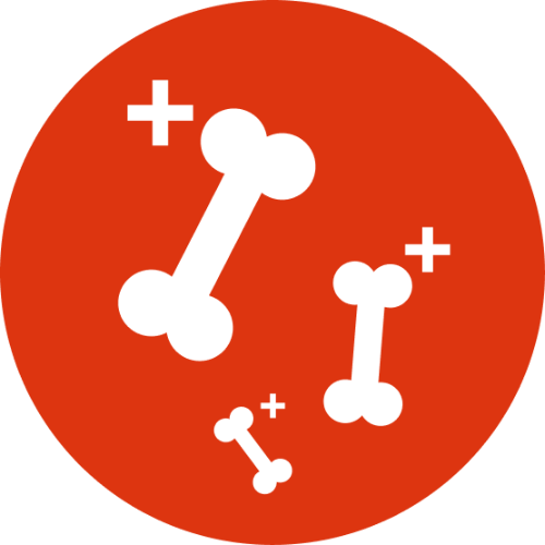 Podpora kloubů a kostí