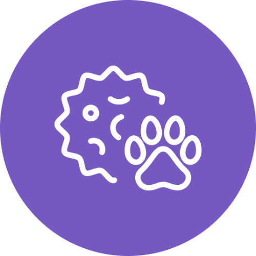 Omezení sezónních alergií