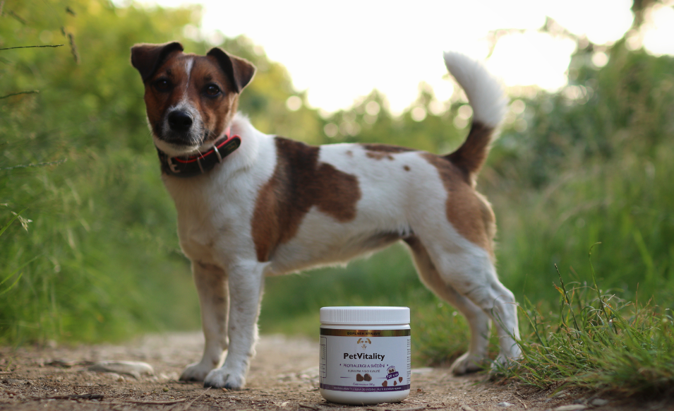PetVitality – jak podávat (Proti svědění a alergiím)