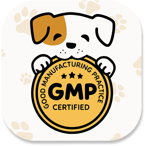 GMP certifikace