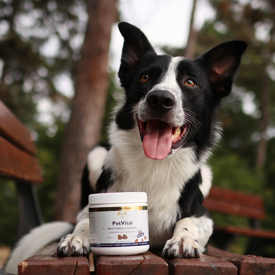 Žádná chemie – jen radost v misce