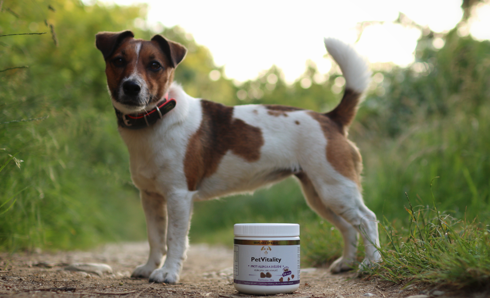 PetVitality – česká značka kvalitních doplňků pro psy
