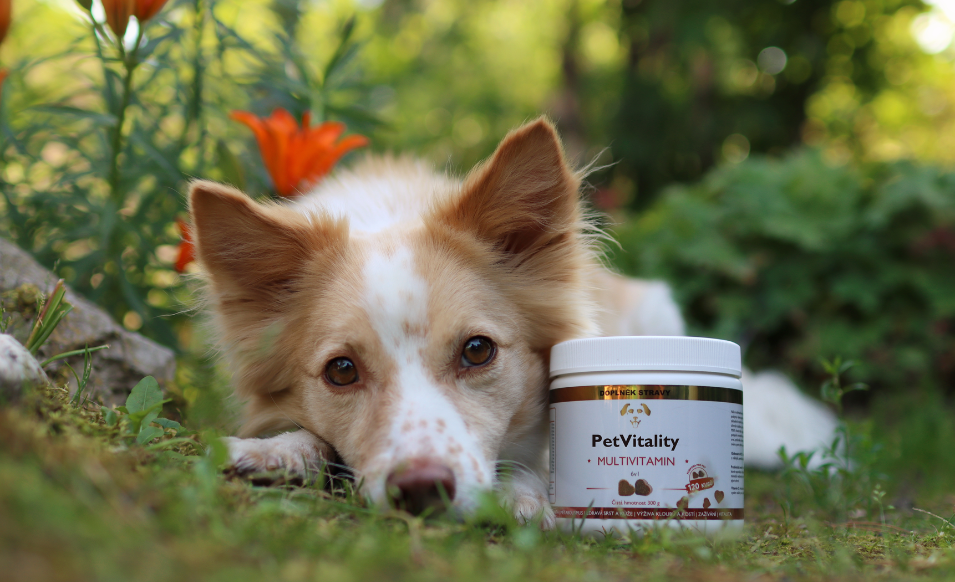 PetVitality – prémiová BIO kvalita bez GMO