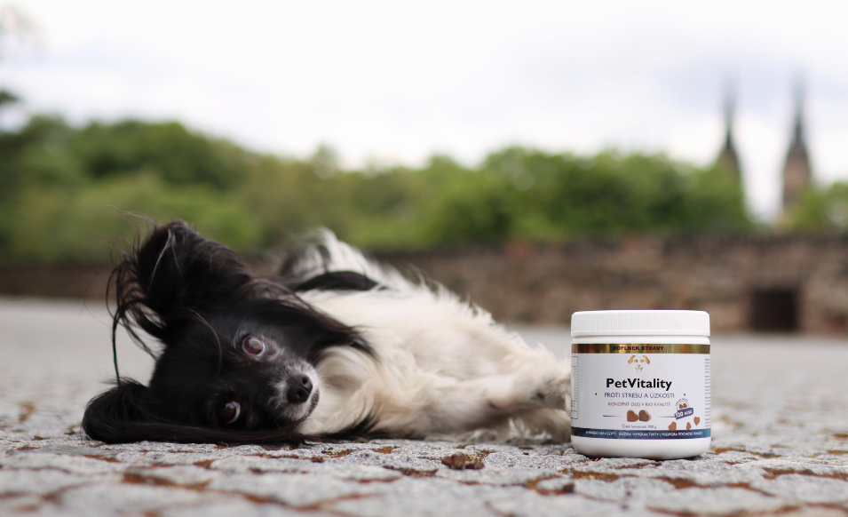 PetVitality – cílené řešení konkrétních zdravotních problémů psů