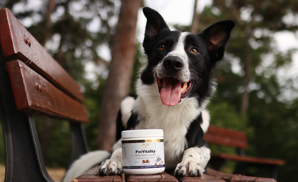PetVitality – snadné podávání a skvělá chuť
