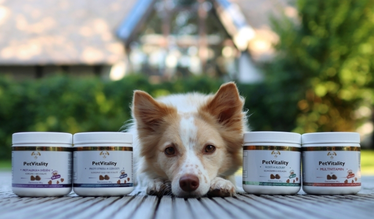Proč jsou PetVitality nejlepší vitamíny pro psy na českém trhu