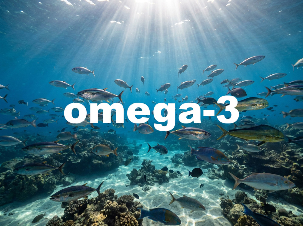 Omega-3: Tichý hrdina, který v sobě nosíme (a často o něm nevíme)