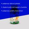 Ginkgo biloba - 60 mg, 100 tobolek