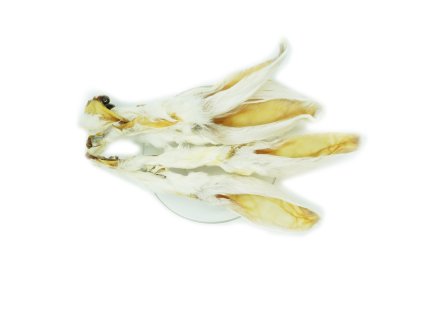 králičí uši se srstí1