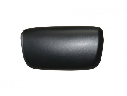 DAF Hauptspiegelabdeckung, beidseitig