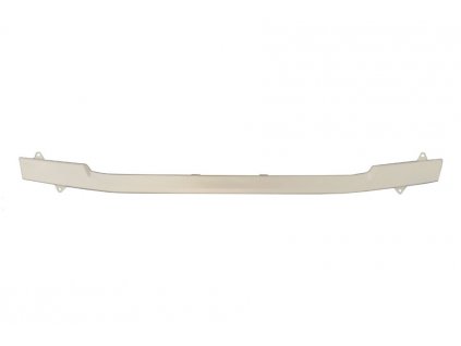 Scania R 2016 / PGRS Motorhaubenschiene