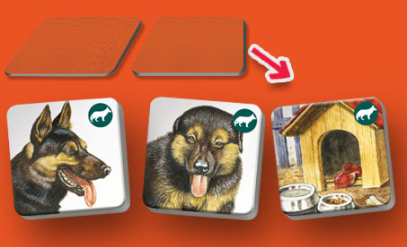 Neocenitelný přínos pro rozvoj intelektu  již u tříletých dětí