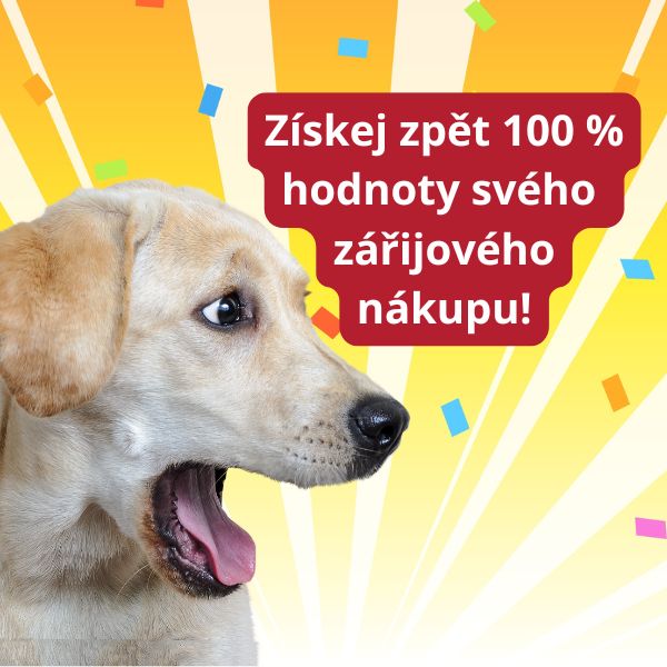 Zářijová soutěž