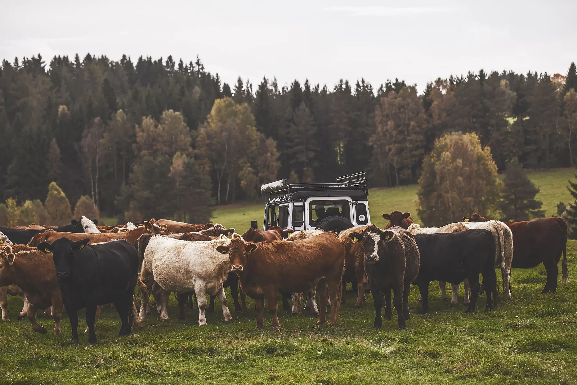 BIO skot je venku po celý rok?