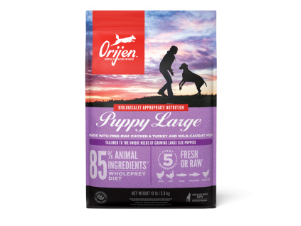 ORIDogPuppyLargePDP 1