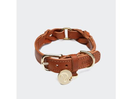 Cloud7 Dog Collar Hyde Park Cognac on grey