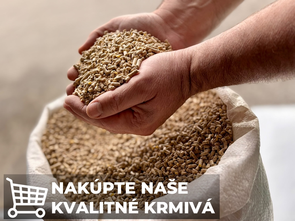 Krmivá