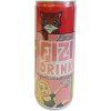 FIZI DRINK limonáda s příchutí liči 250ML