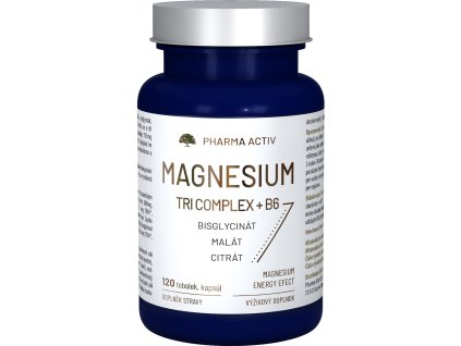Magnesium TRI COMPLEX + B6 tob.120