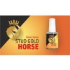 Stud gold horse 2