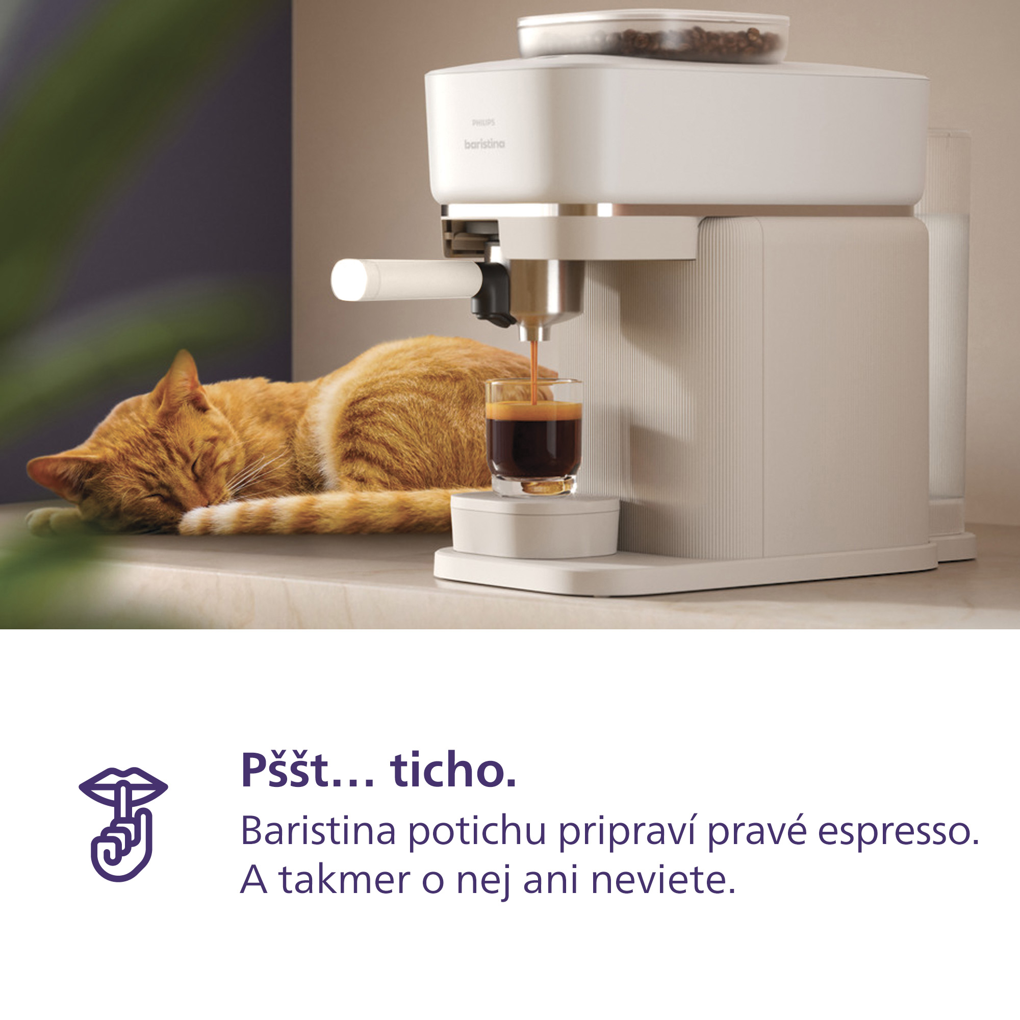 Philips Baristina BAR300/00