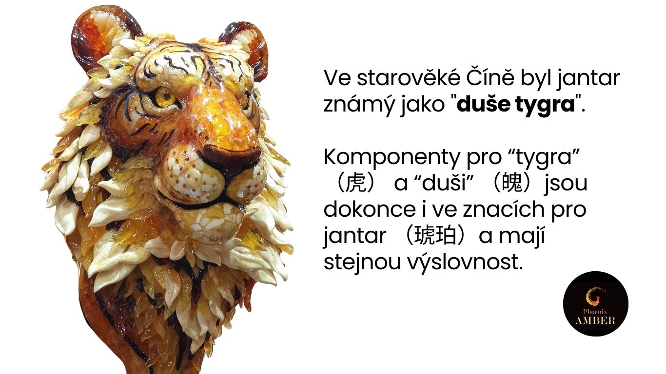 Duse-tygra-01