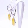 nausnice-ze-stribra-ag-925-1000-a-jantaru-512067