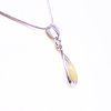 jantarovy-privesek-se-stribrem-ag-925-1000-113914