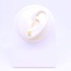 nausnice-ze-stribra-ag-925-1000-a-jantaru-511548