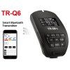 TR Q6