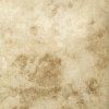 sick champagne 700x700