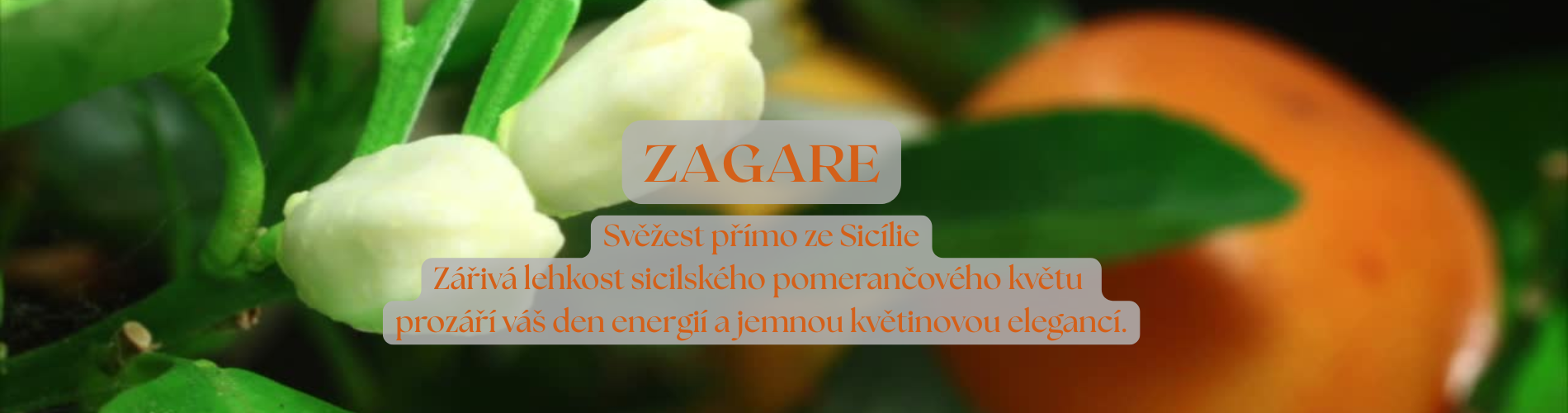 1920x700px