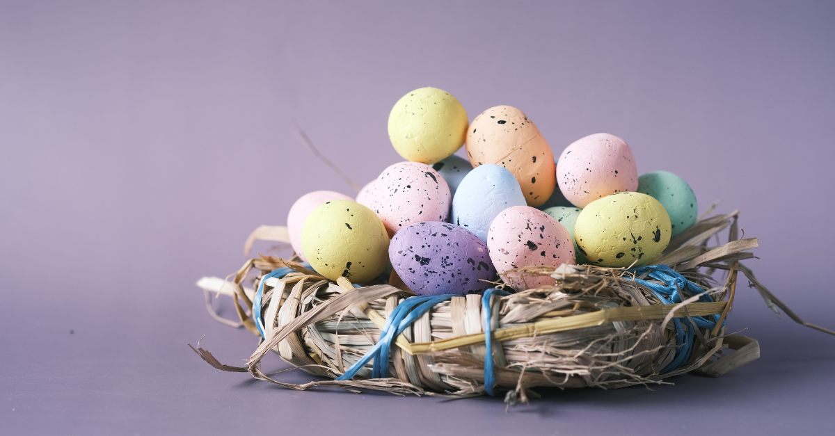 egg