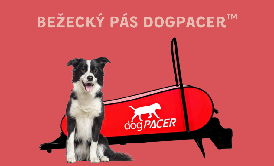 Bežecký pás dogPACER™