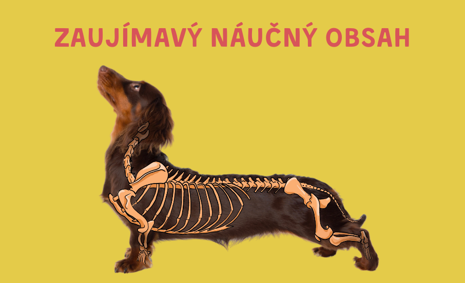 Zaujímavý náučný obsah