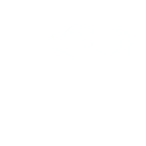 Physiopet