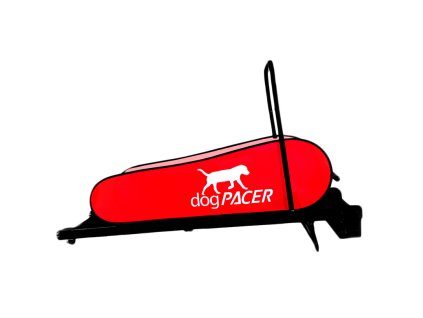 dogpacer1