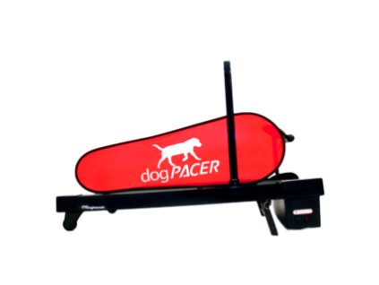 minipacer1