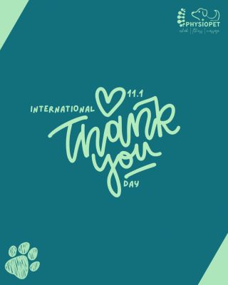 Viete, aký je dnes deň? O ktorom sa vôbec nehovorí? 🫩 Medzinárodný deň poďakovania! 🥹 A tak… Ďakujem, že ku mne so svojimi...