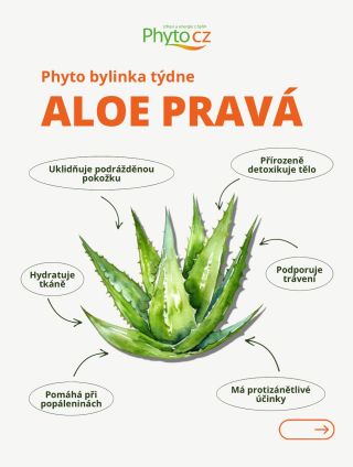 🌿 Bylinka týdne: Aloe pravá Aloe je jednou z nejstarších léčivých rostlin na světě – a není divu. Dokáže zklidnit pokožku,...