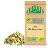 BIO Kardamon plod