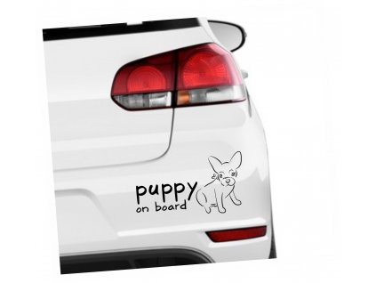 puppy1