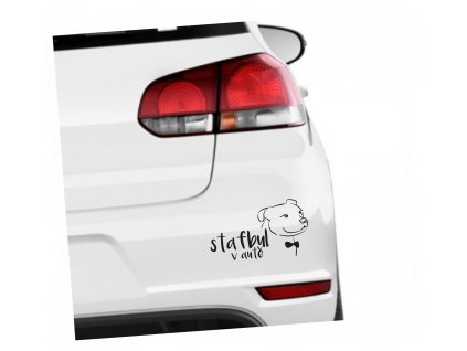 stafbull