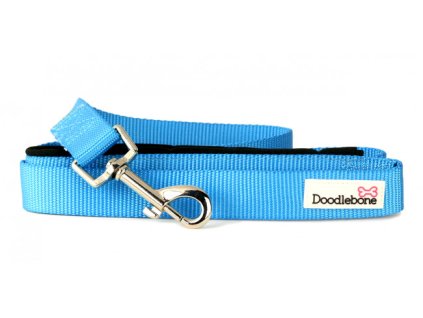 bold lead cyan