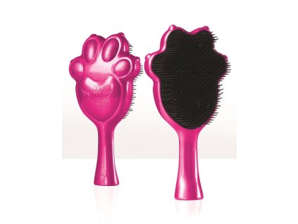 fuchsia pa 2