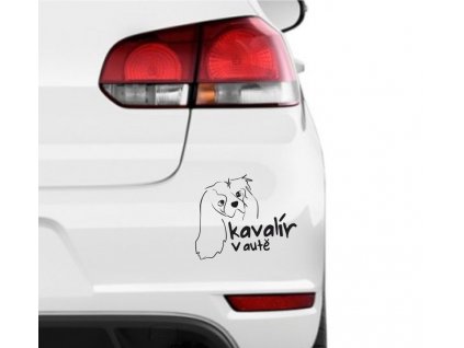 kavalir