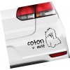 cotonv